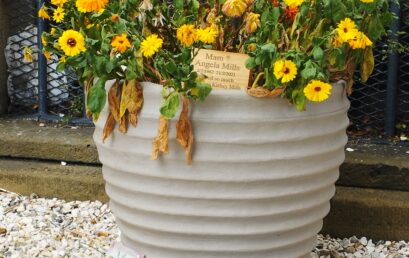 Tributes Paid to Angela Mills